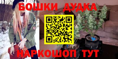 мдпв Бердск