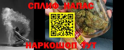 мдпв Бердск