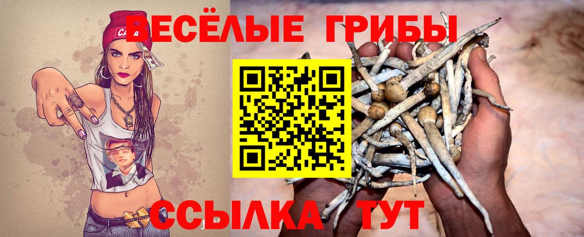 Галлюциногенные грибы Psilocybine cubensis Сыктывкар