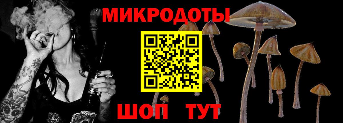 Сыктывкар  Псилоцибиновые грибы Psilocybe  Вход с VPN 
